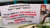 Denuncian a veterinaria que opera en un hospital para personas en Mérida
