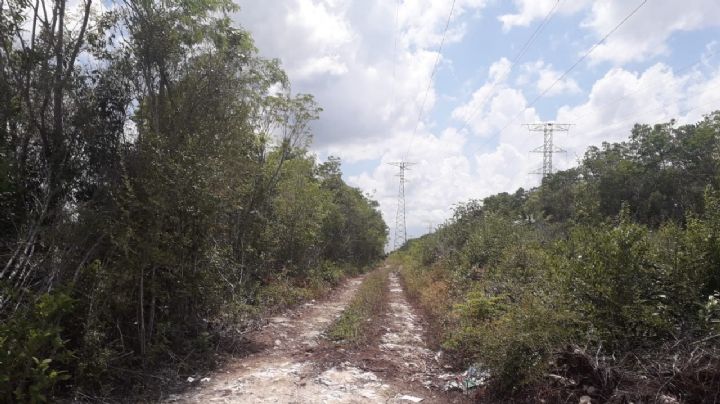 Cancún violento: Hallan tres cuerpos en Bonfil tras el reporte de uno