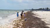 Sargazo amenaza con ahuyentar a turistas de las playas de Yucatán