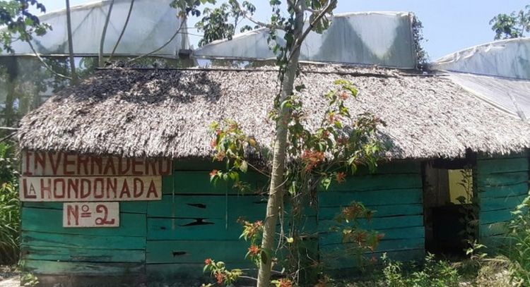 Así luce el invernadero de 'La Presumida' en José María Morelos a tres años sin mantenimiento