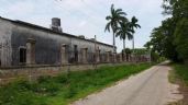 Megagranja de Kekén convierte en 'pueblo fantasma' a una localidad de Yucatán