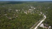 Acusan a notarios de Yucatán por avalar el despojo de 179 hectáreas de terrenos en Tulum