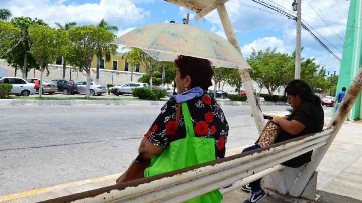 Canícula en Campeche: Registran temperaturas de más de 40 grados; IMSS pide tomar precauciones