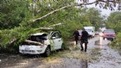 Familia estrella su auto contra un árbol tirado sobre la carretera Peto-Tzucacab