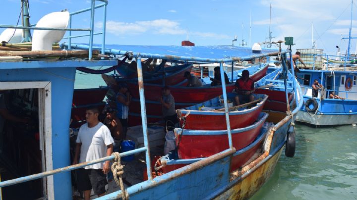 En Yucatán, 12 mil pescadores salen al mar al inicio de la temporada de pulpo 2023