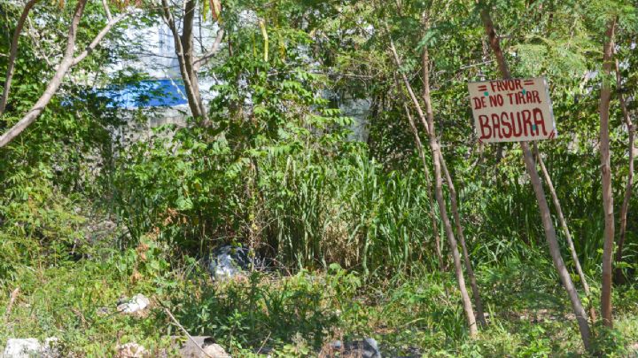 Cancún: Sacan 104 kilos de basura de un cenote en la Supermanzana 253