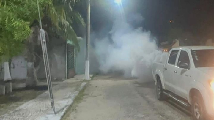 Habitantes de Candelaria exigen fumigación a la Ssa tras confirmar un caso de dengue hemorrágico