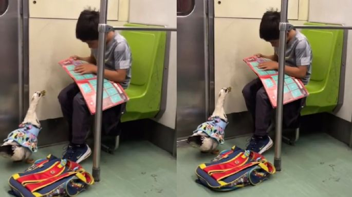 Niño viaja con su pato en el Metro de la CDMX y se vuelve viral
