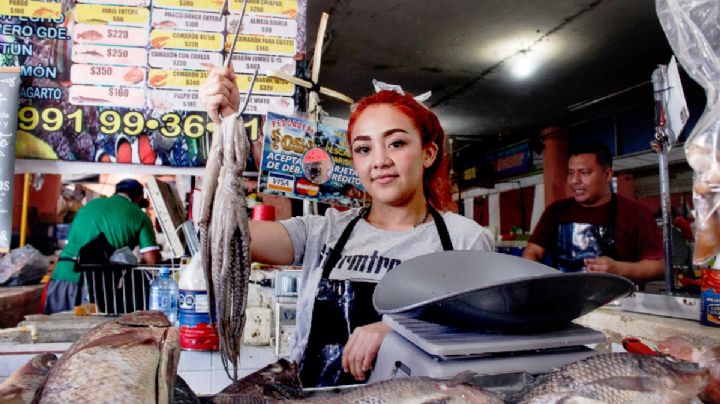 Pulpeada en Yucatán: Pescadores capturan hasta 120 kilos del molusco al día