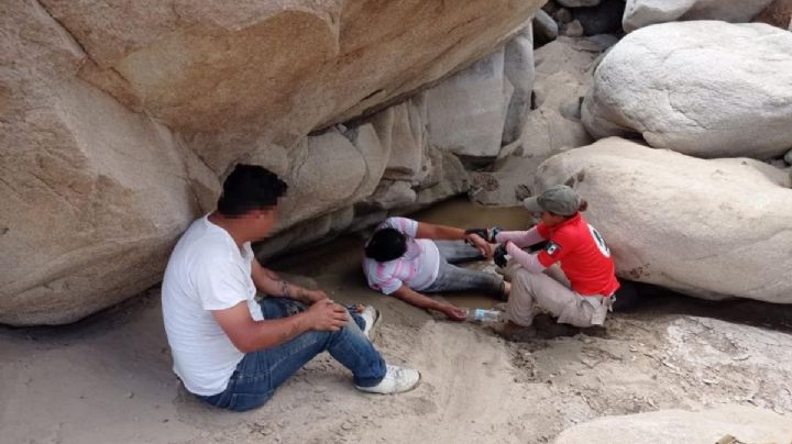 Rescatan a migrantes en la montaña de Baja California; guía los dejó abandonados