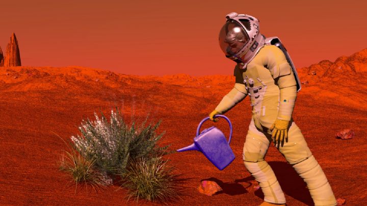 ¿Por qué la NASA logró producir oxígeno en Marte?