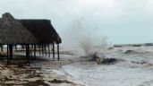 Realizarán simulacro de ciclón tropical en Campeche
