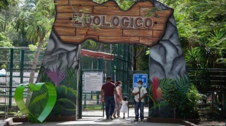¿Cuánto cuesta la entrada al zoológico de Mérida y qué animales hay?