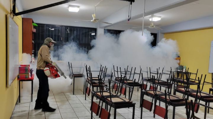 En Campeche, SNTE reporta 30 maestros con dengue