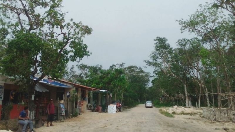 Quintana Roo, entre los primeros estados con menos analfabetas; 29 mil personas no saben leer ni escribir