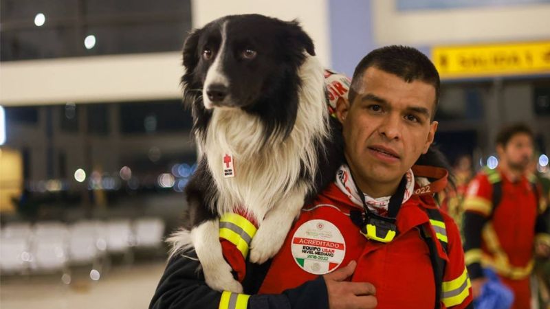 Cruz Roja tendrá escuela para perros rescatistas