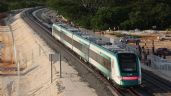 Así fue el paso del Tren Maya por Yucatán: VIDEO
