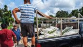 Productores de la zona maya de Quintana Roo reciben fertilizantes del Gobierno Federal