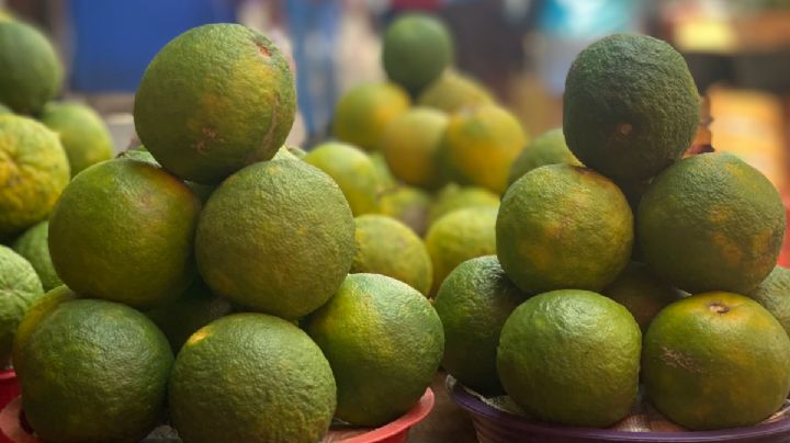 Se extinguen frutos nativos de Yucatán: Investigador del CICY