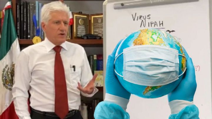 Alerta de virus Nipah en México: Dr. Alejandro Macías responde rumores sobre 'próxima pandemia'
