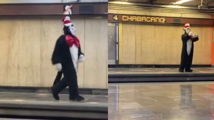 Gato con sombrero atemoriza a usuarios del Metro Chabacano en la CDMX: VIDEO