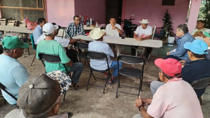 Fibra de Brasil desplaza la producción del henequén en Dzemul, Yucatán