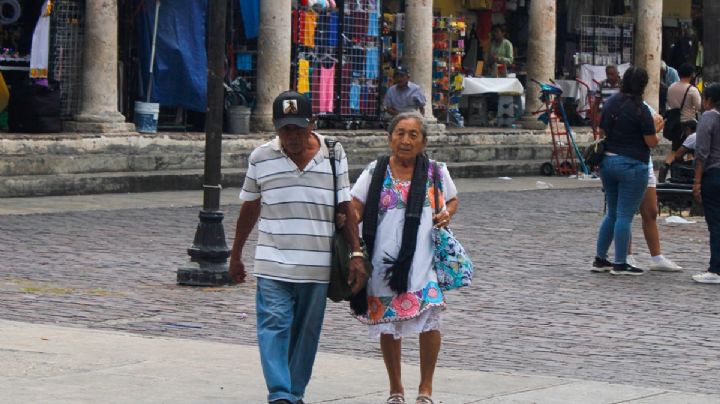Disminuye un 50% los casos de violencia contra las mujeres mayas en Yucatán: Cadin