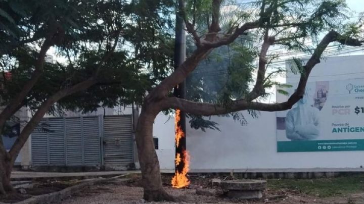 Mérida: Captan el incendio de un poste de la CFE en Ciudad Caucel