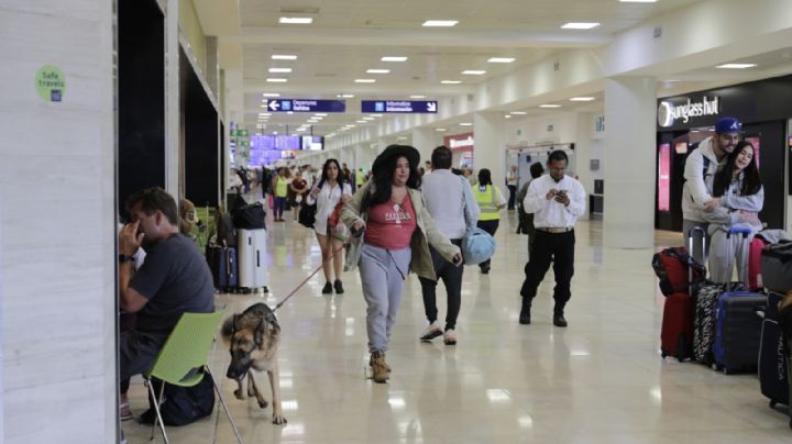 Aeropuerto de Cancún: Viajar con mascotas, una tendencia que crece en el mercado aéreo