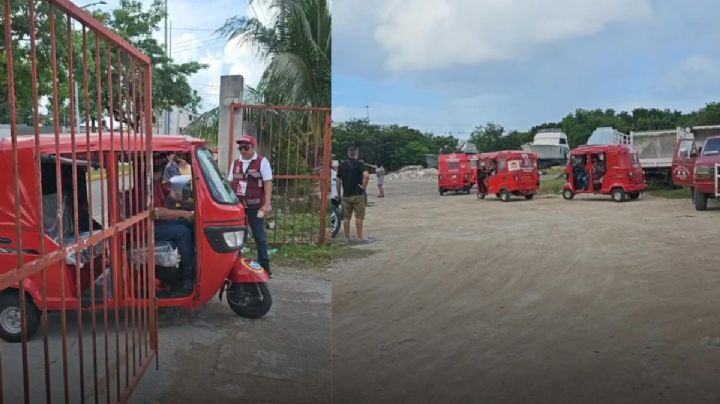 Imoveqroo realiza censo de mototaxis en Cozumel para otorgar permisos