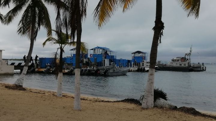 Marina prepara sus buques sargaceros para enfrentar el recale masivo en Quintana Roo
