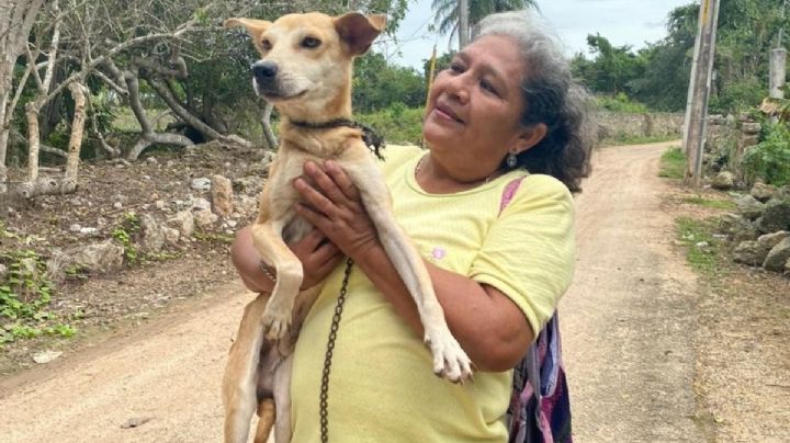 Animalistas rescatan a un perrito que sufría maltrato en Calotmul