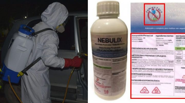 Alerta sanitaria por 'Nebulix' en Cancún, un insecticida ilegal y peligroso
