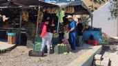 Obras del Tren Maya favorecen a comerciantes de Playa del Carmen