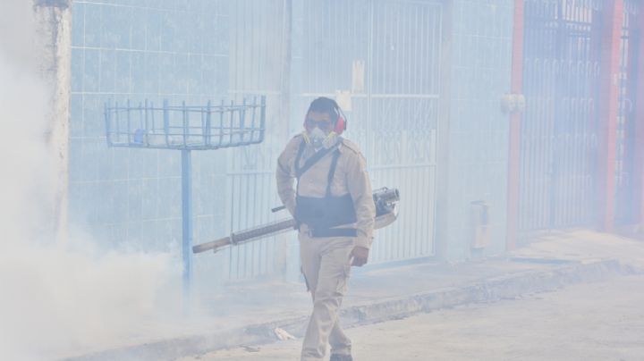Dengue, el enemigo silencioso que azota a Quintana Roo: 2023 cerró con 5 mil 163 casos confirmados