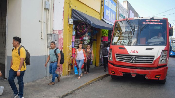 Alianza de Camioneros de Yucatán ha vendido cinco unidades durante la semana