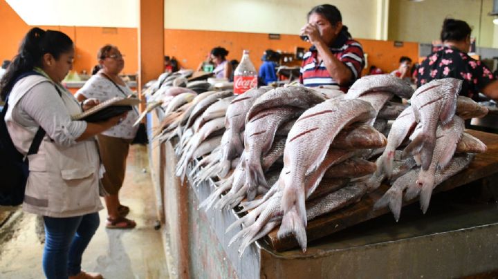 En Campeche, locatarios de pescaderías reportan bajas ventas en inicio de Cuaresma