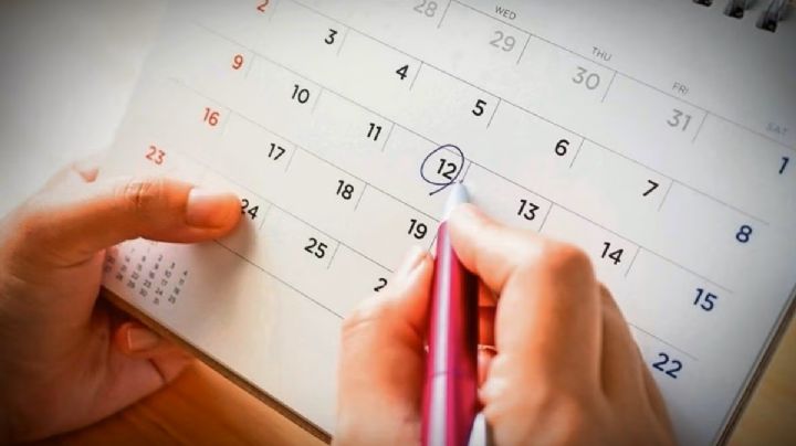 Calendario febrero 2024: Estos son los días de descanso obligatorio según la SEP y la LFT