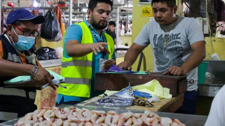 En Campeche, Copriscam inspeccionará comercios de alimentos durante la Cuaresma