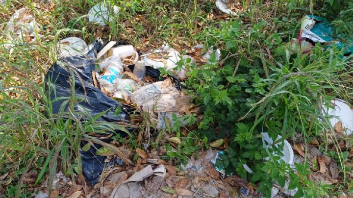 Vecinos de la colonia Emiliano Zapata en Felipe Carrillo Puerto denunciaron basureros ilegales