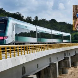 Realeza sueca realizará un recorrido a bordo del Tren Maya
