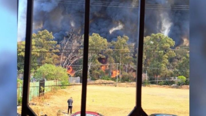 Reportan fuerte incendio en la zona de  Cuemanco, Xochimilco: VIDEO