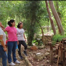 Prevén la apertura del primer Centro de Cultura de la Sustentabilidad en Mérida