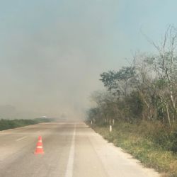 Colilla de cigarro causa incendio en la carretera Mérida-Motul