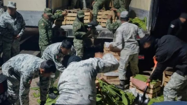 Guardia Nacional asegura drogas en un camión lleno de nopales en Guanajuato