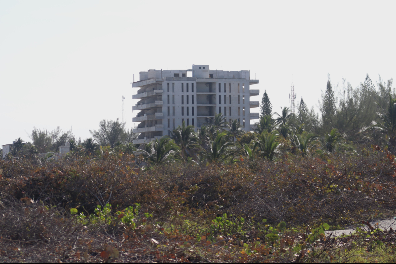 La Profepa acudirá a Sisal para evaluar daños en 23 mil ha de terreno. La Profepa acudirá a Sisal para evaluar daños en 23 mil ha de terreno.