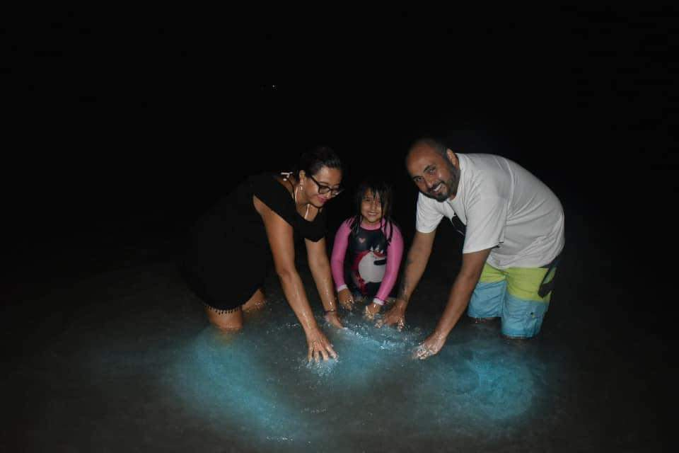 En abril comienza el fenómeno natural conocido bioluminiscencia, el cual genera que el agua destelle
