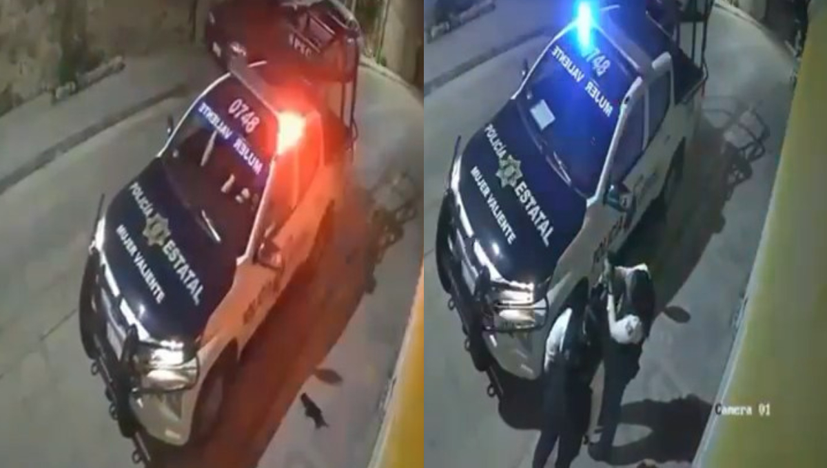 Policías de Campeche rescataron a un cachorro que estaba en peligro de ser atropellado